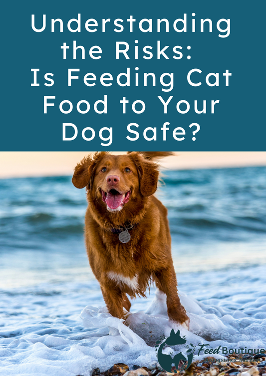 Understanding the Risks: Is Feeding Cat Food to Your Dog Safe?