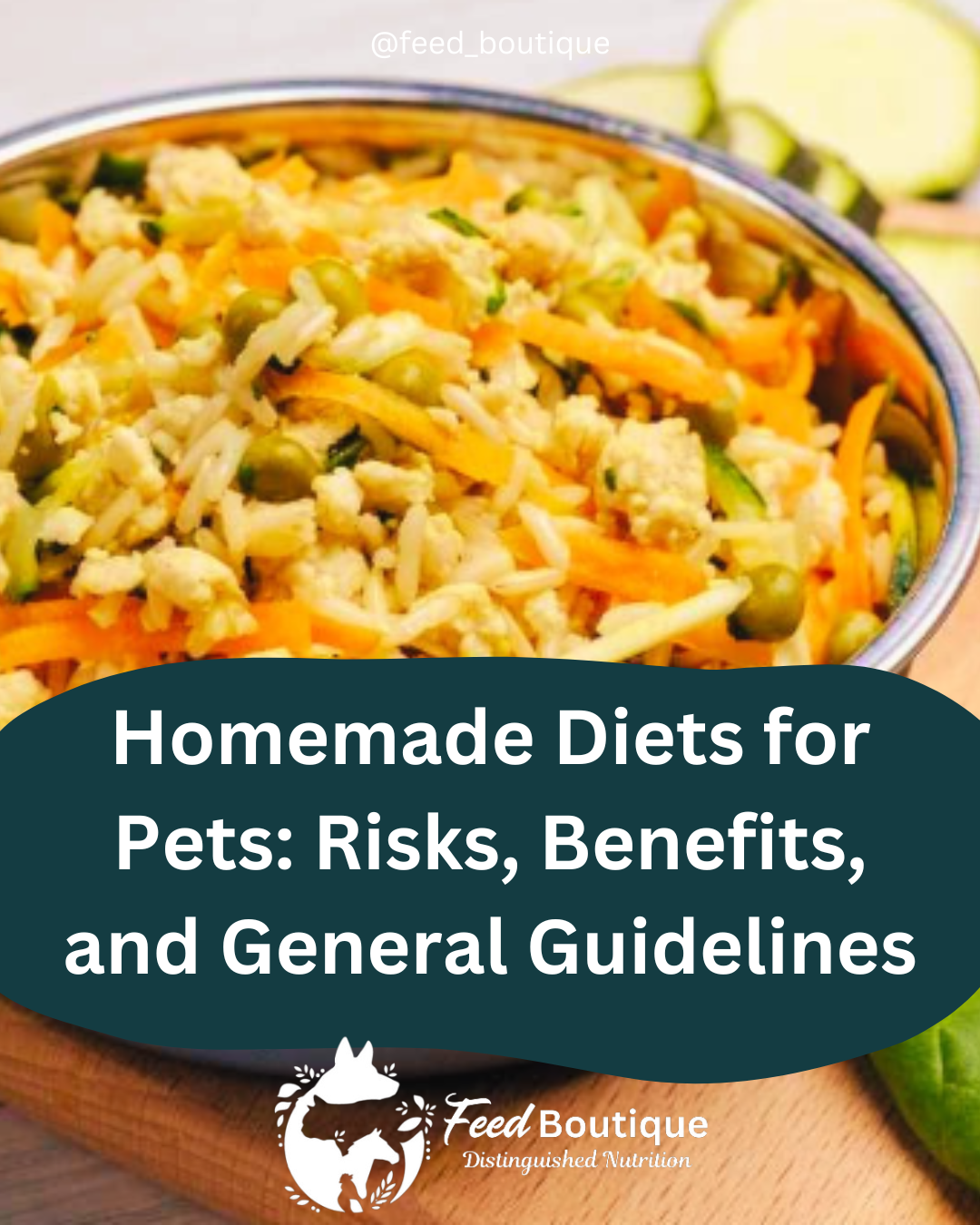 Homemade Diets for Pets: Risks, Benefits, and General Guidelines