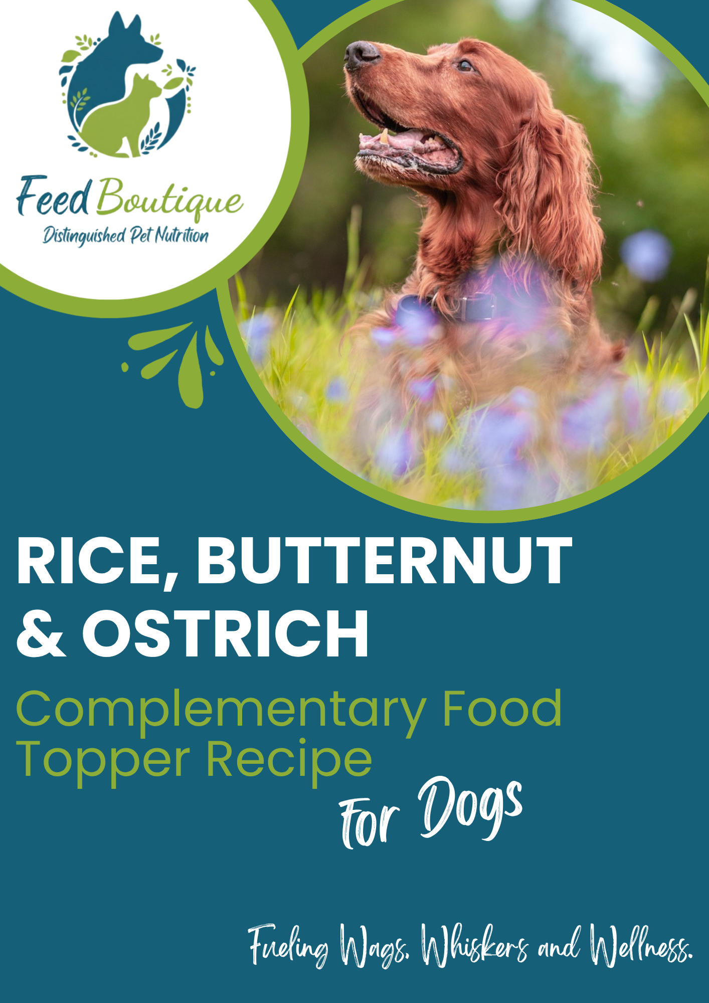 Rice, Butternut and Ostrich Complementary Food Topper Recipe for Dogs