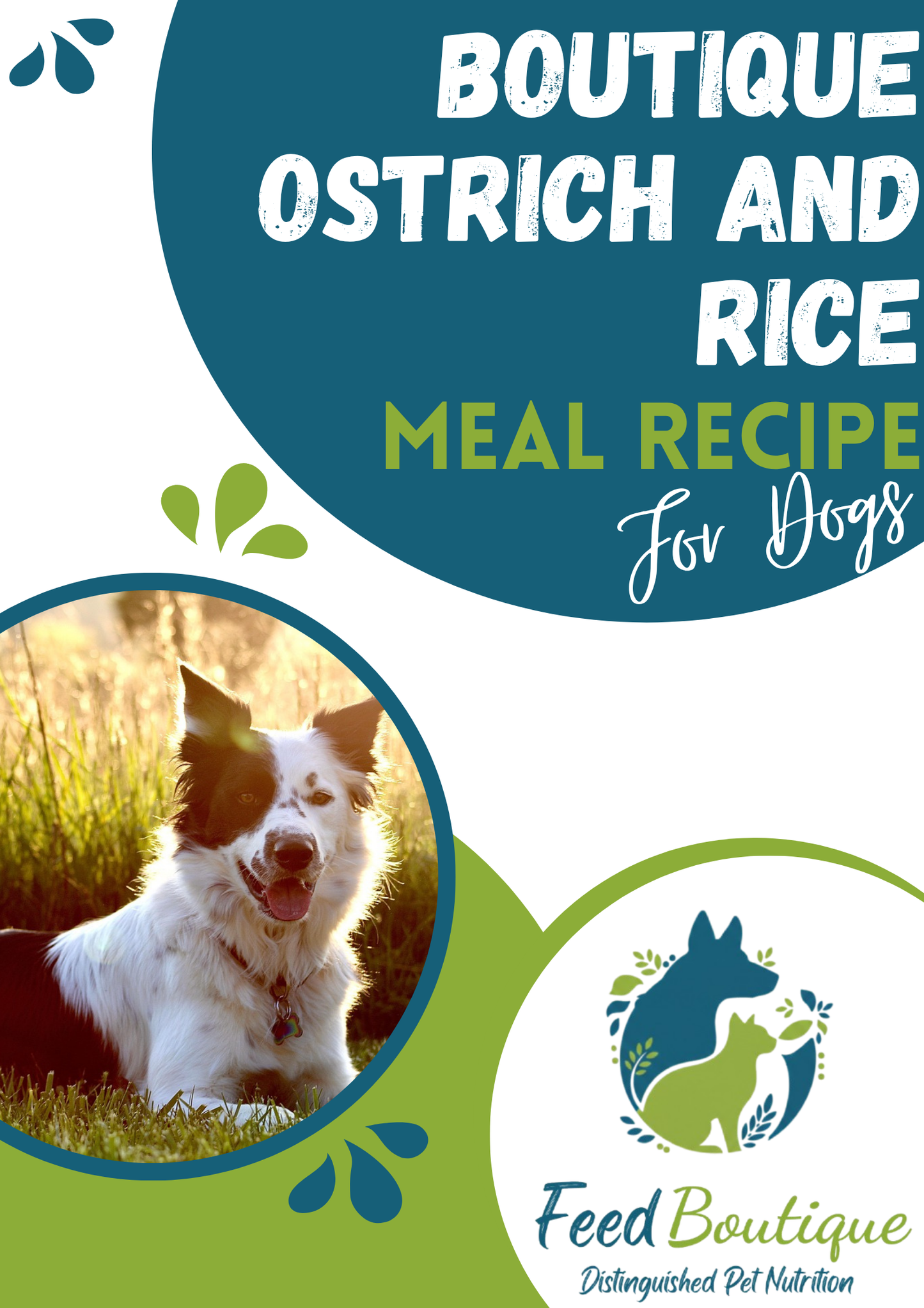 Boutique Ostrich and Rice Meal Recipe for Dogs