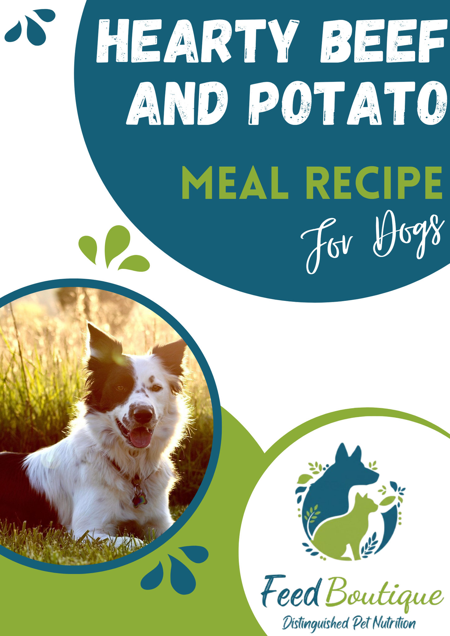 Hearty Beef and Potato Meal Recipe for Dogs