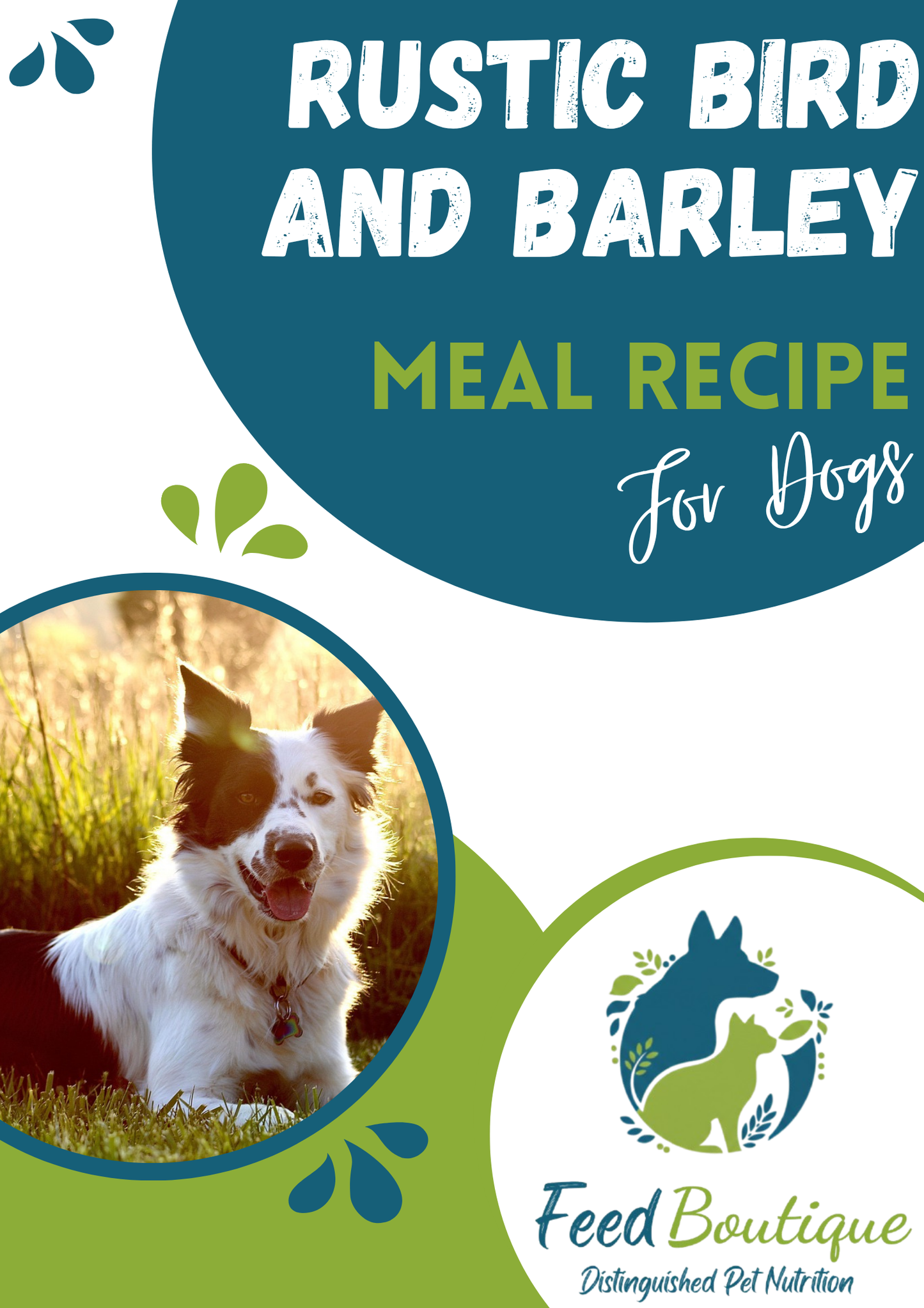 Rustic Bird and Barley Meal Recipe for Dogs