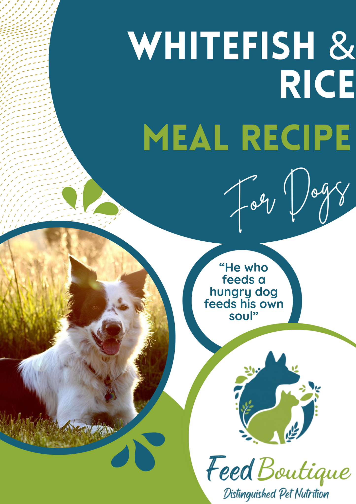 Whitefish and Rice Meal Recipe for Dogs