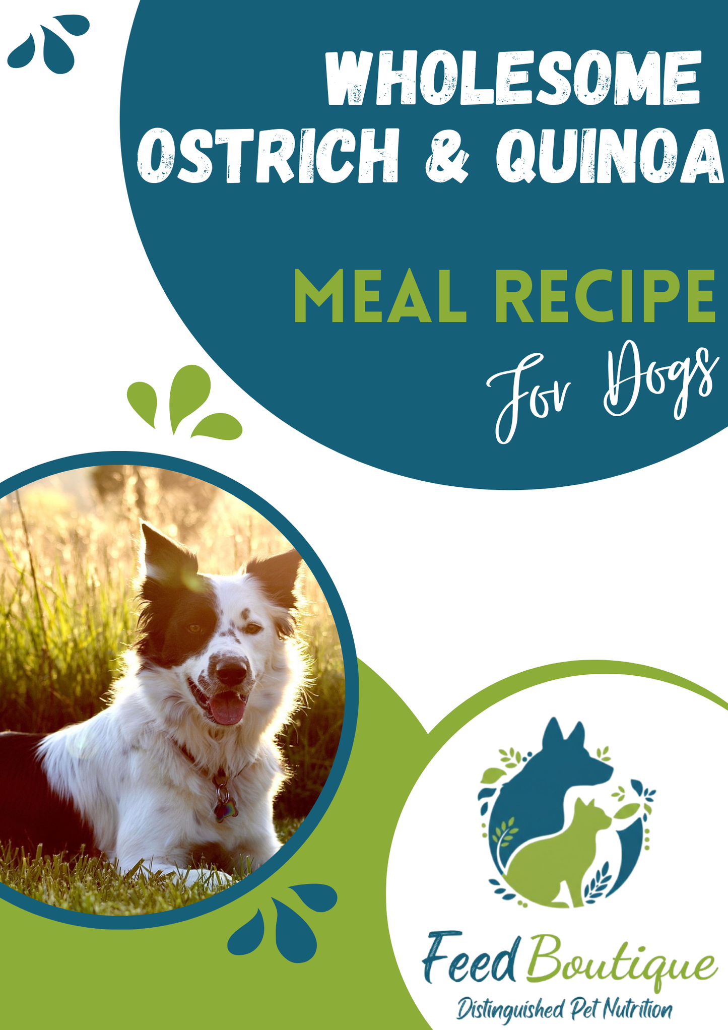 Wholesome Ostrich and Quinoa Meal Recipe for Dogs
