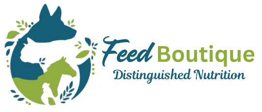Feed Boutique