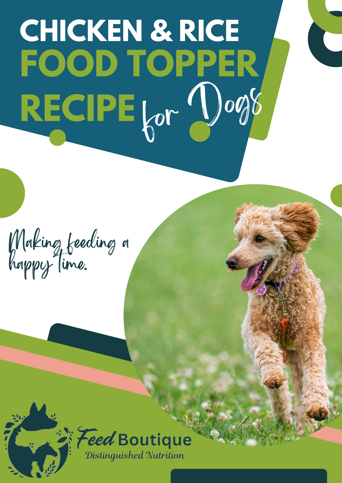Chicken and Rice Complementary Food Topper Recipe for Dogs