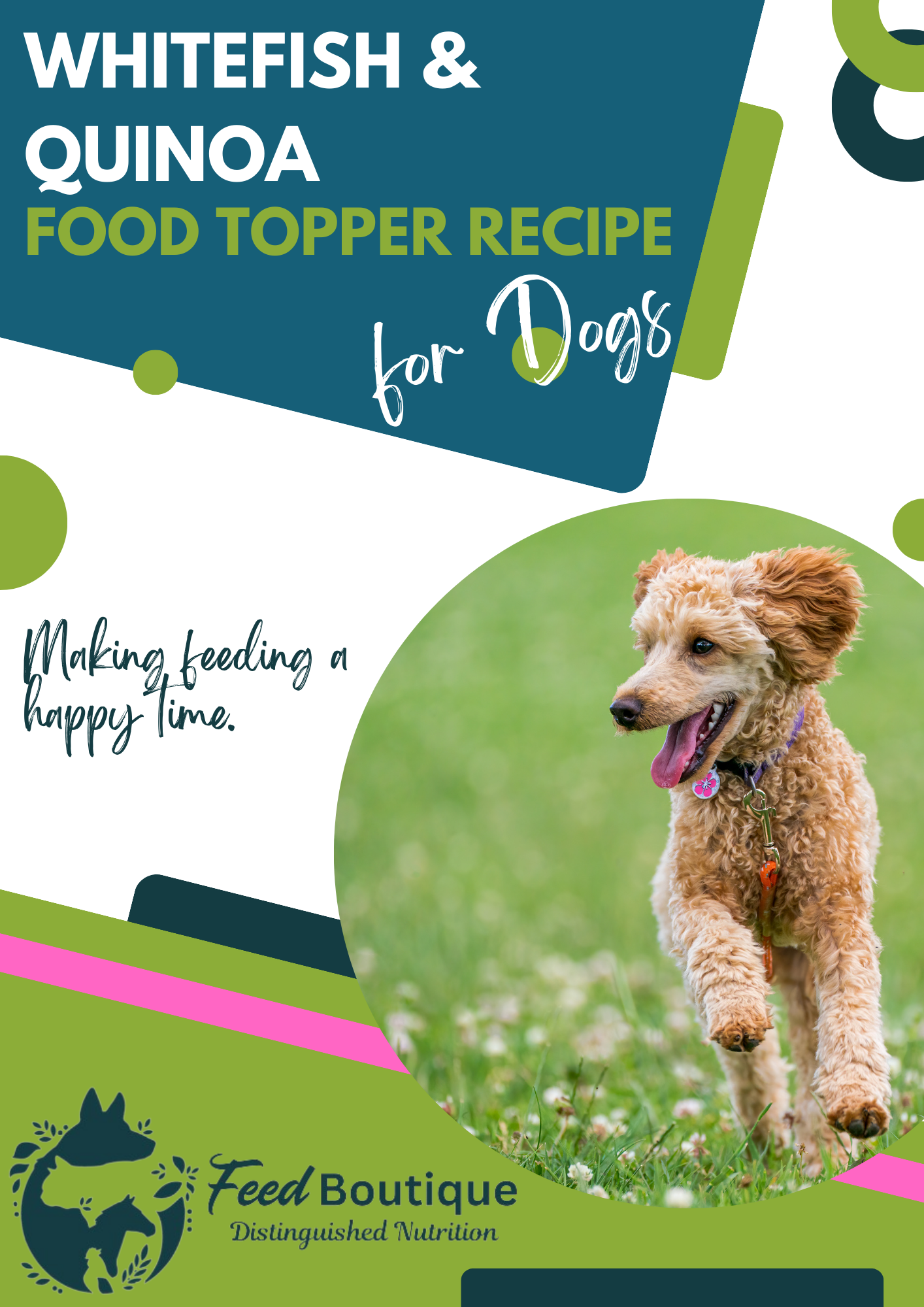 Whitefish and Quinoa Complementary Food Topper Recipe for Dogs
