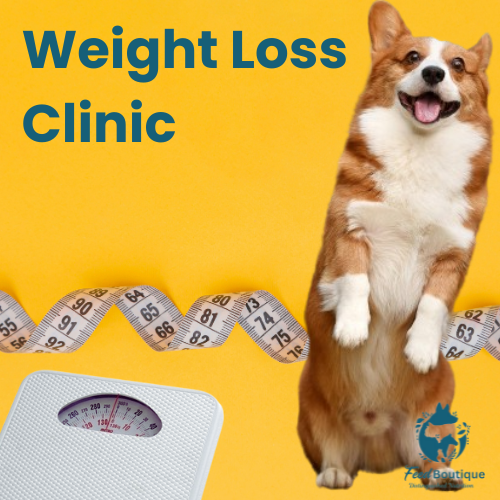 Weight Loss Clinic