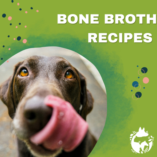 Broth Recipes for Pets