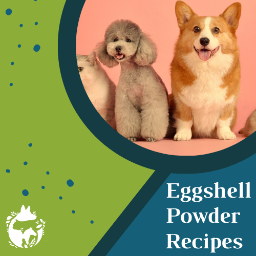 Eggshell Powder Recipes for Pets