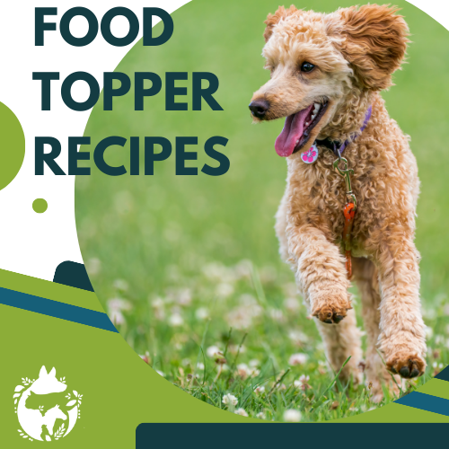 Food Topper Recipes for Pets