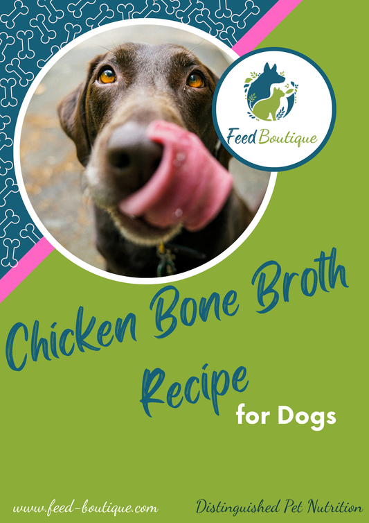 Chicken Bone Broth Recipe for Dogs
