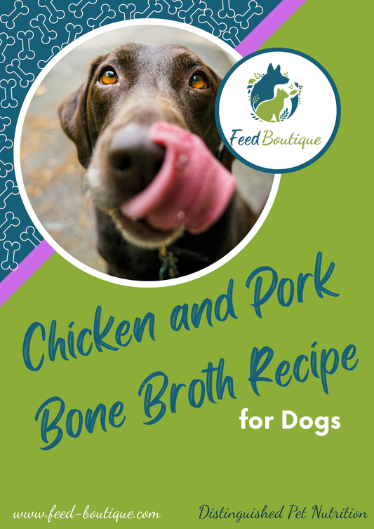 Chicken and Pork Bone Broth Recipe for Dogs
