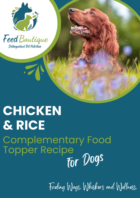 Chicken and Rice Complementary Food Topper Recipe for Dogs