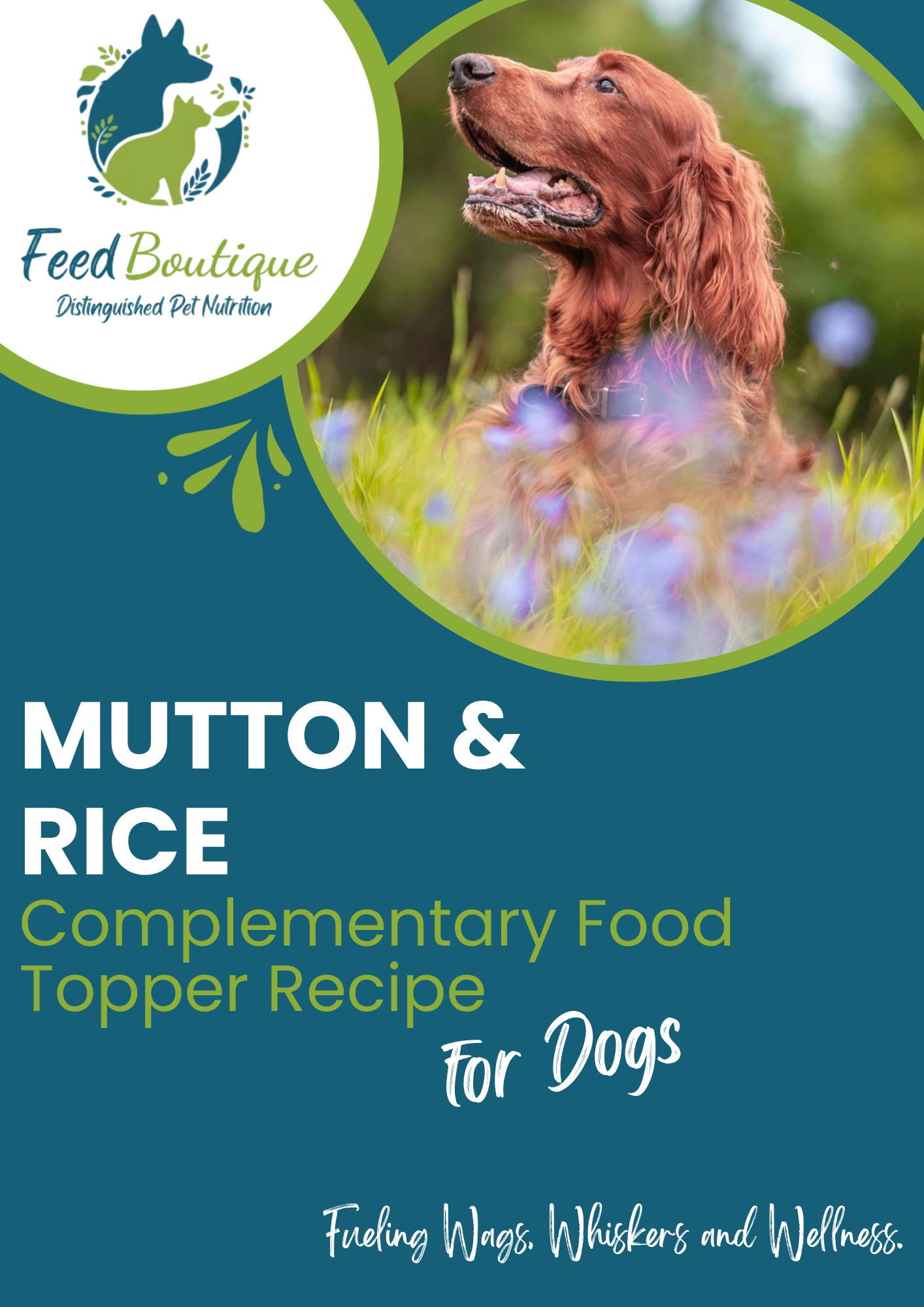 Mutton and Rice Complementary Food Topper Recipe for Dogs