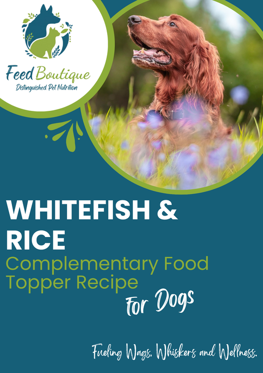 Whitefish and Rice Complementary Food Topper Recipe for Dogs