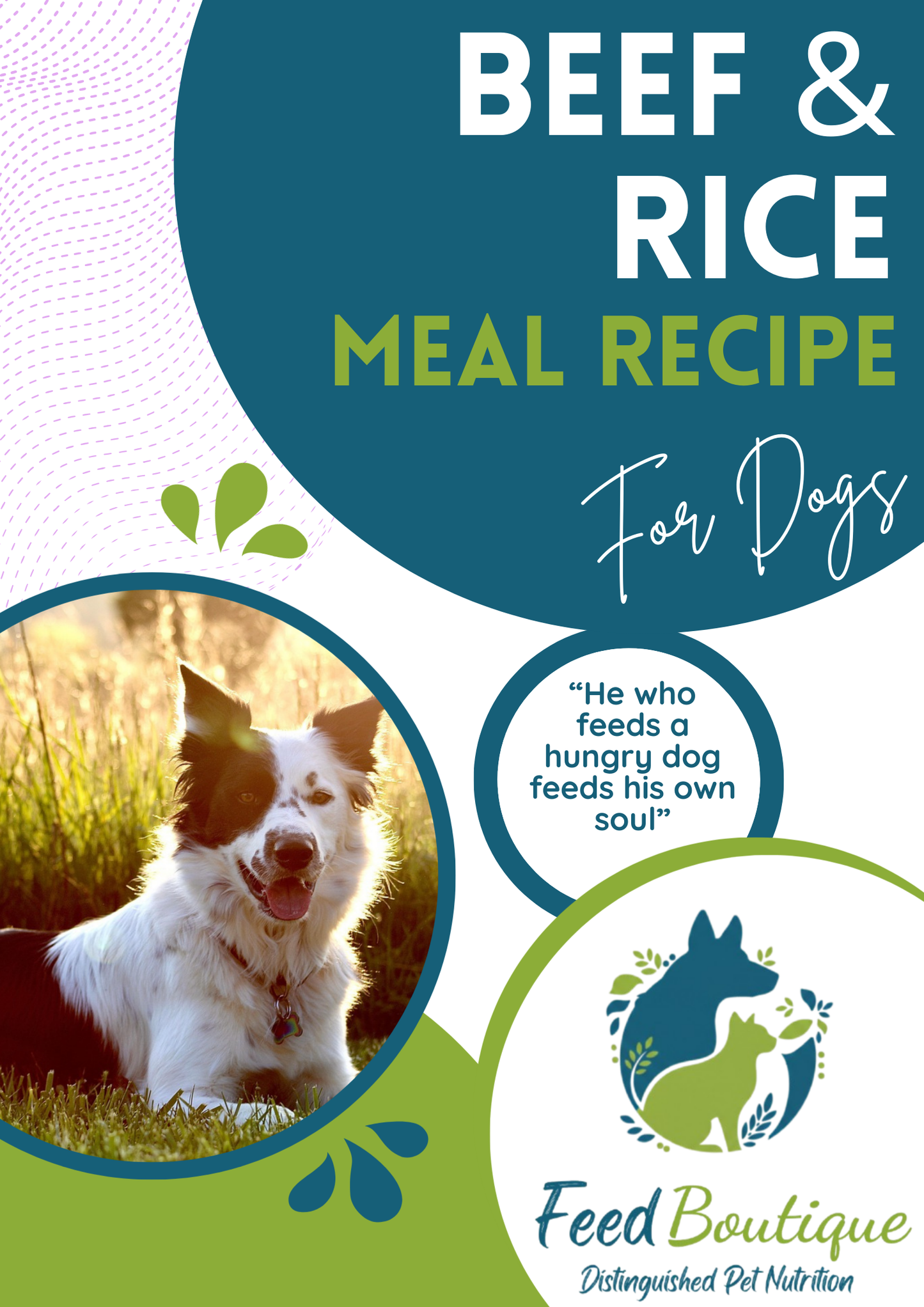 Beef and Rice Meal Recipe for Dogs