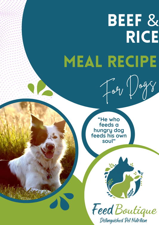 Beef and Rice Meal Recipe for Dogs