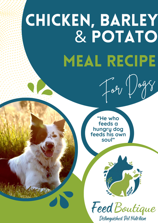 Chicken, Barley and Potato Meal Recipe for Dogs