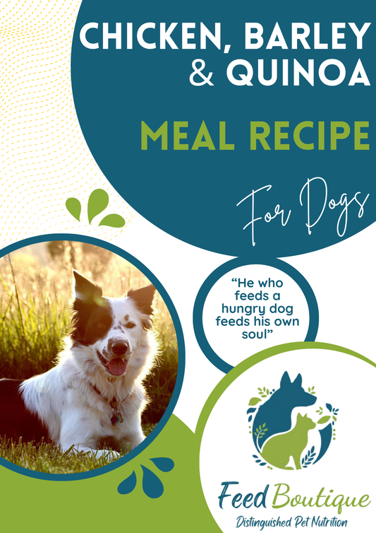 Chicken, Barley & Quinoa Meal Recipe for Dogs
