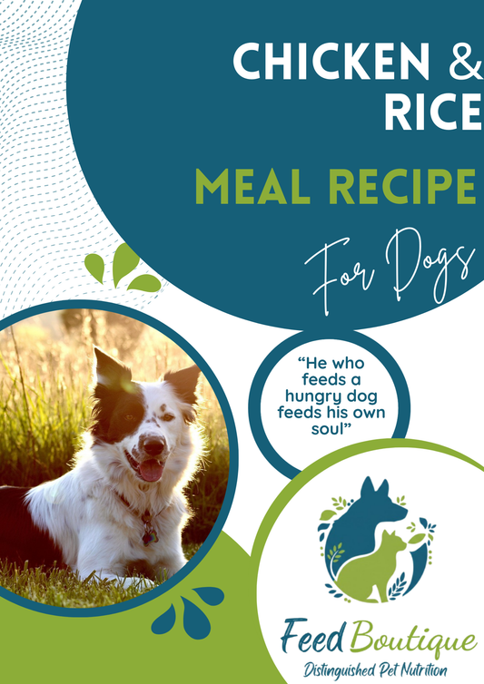 Chicken and Rice Meal Recipe for Dogs
