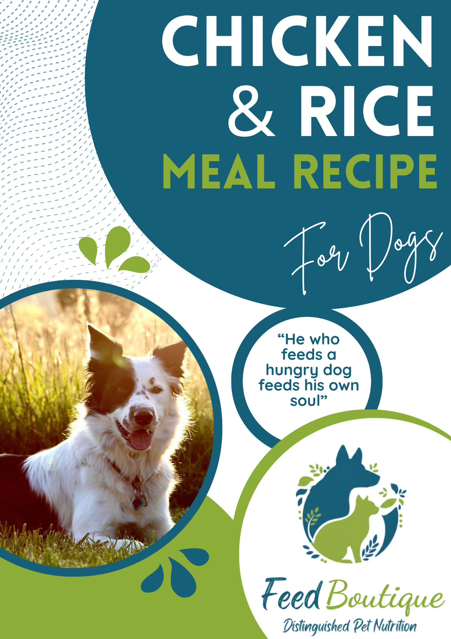 Chicken and Rice Meal Recipe for Dogs