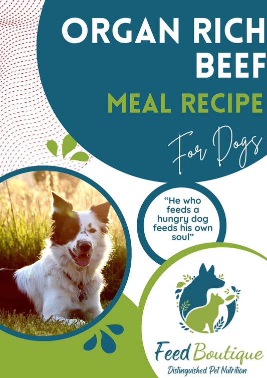Organ Rich Beef Meal Recipe for Dogs