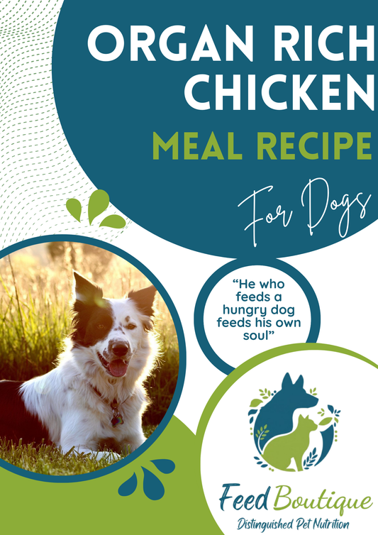 Organ Rich Chicken Meal Recipe for Dogs