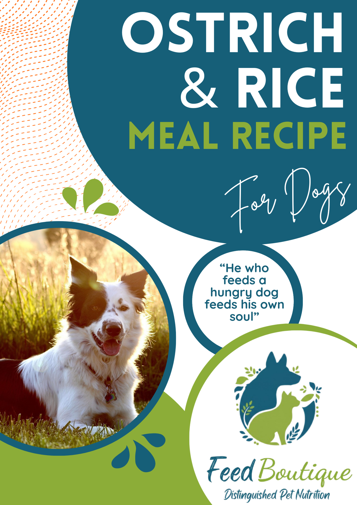 Ostrich and Rice Meal Recipe for Dogs
