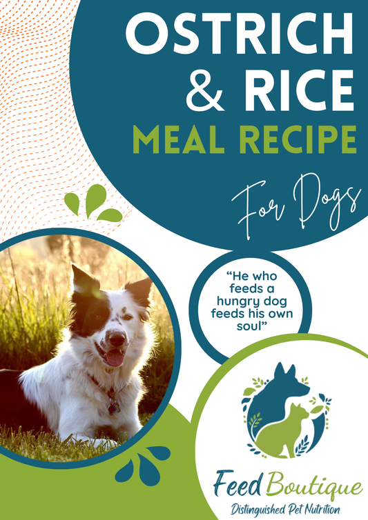 Ostrich and Rice Meal Recipe for Dogs