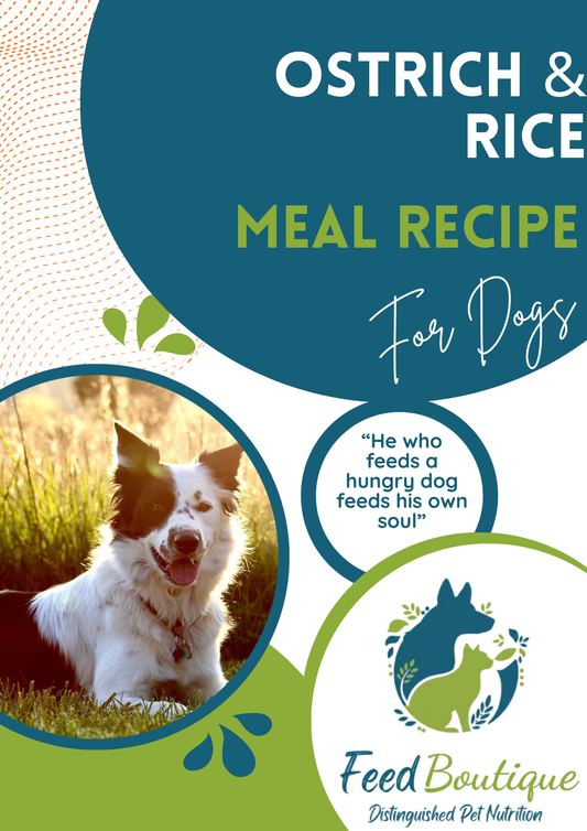 Ostrich and Rice Meal Recipe for Dogs