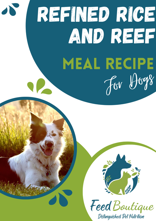 Refined Rice and Reef Meal Recipe for Dogs