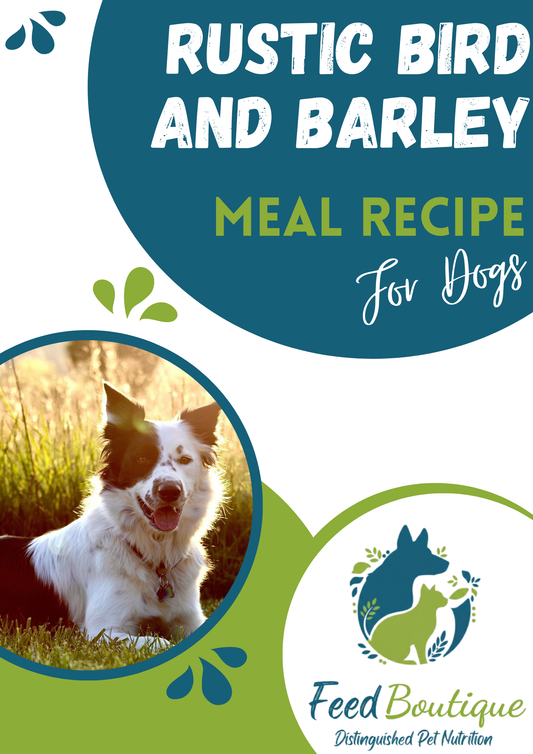 Rustic Bird and Barley Meal Recipe for Dogs