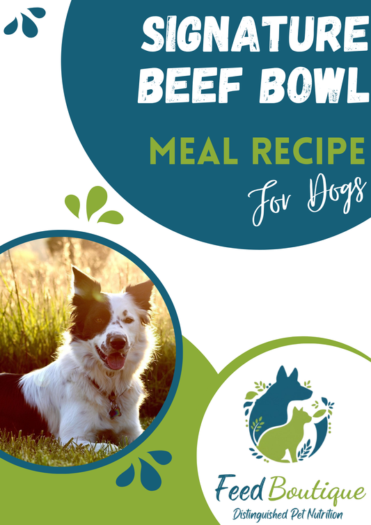 Signature Beef Bowl Meal Recipe for Dogs