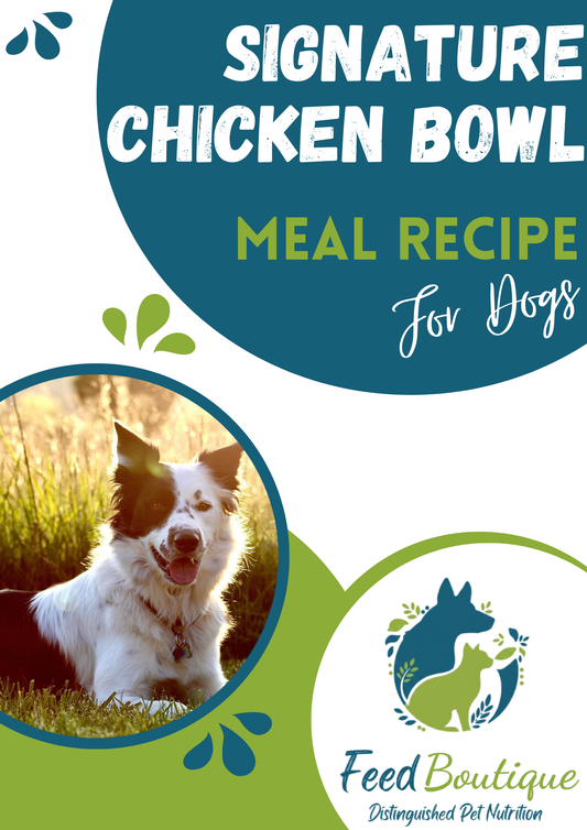 Signature Chicken Bowl Meal Recipe for Dogs