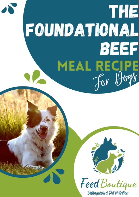 The Foundational Beef Meal Recipe for Dogs