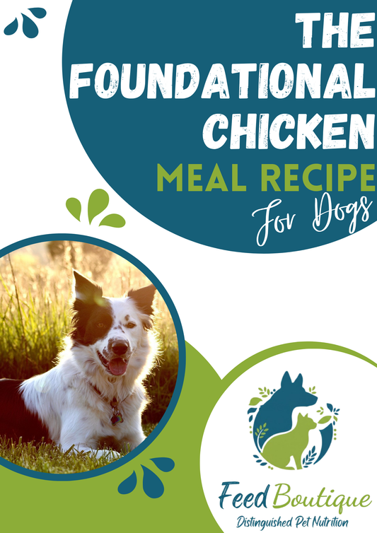 The Foundational Chicken Meal Recipe for Dogs