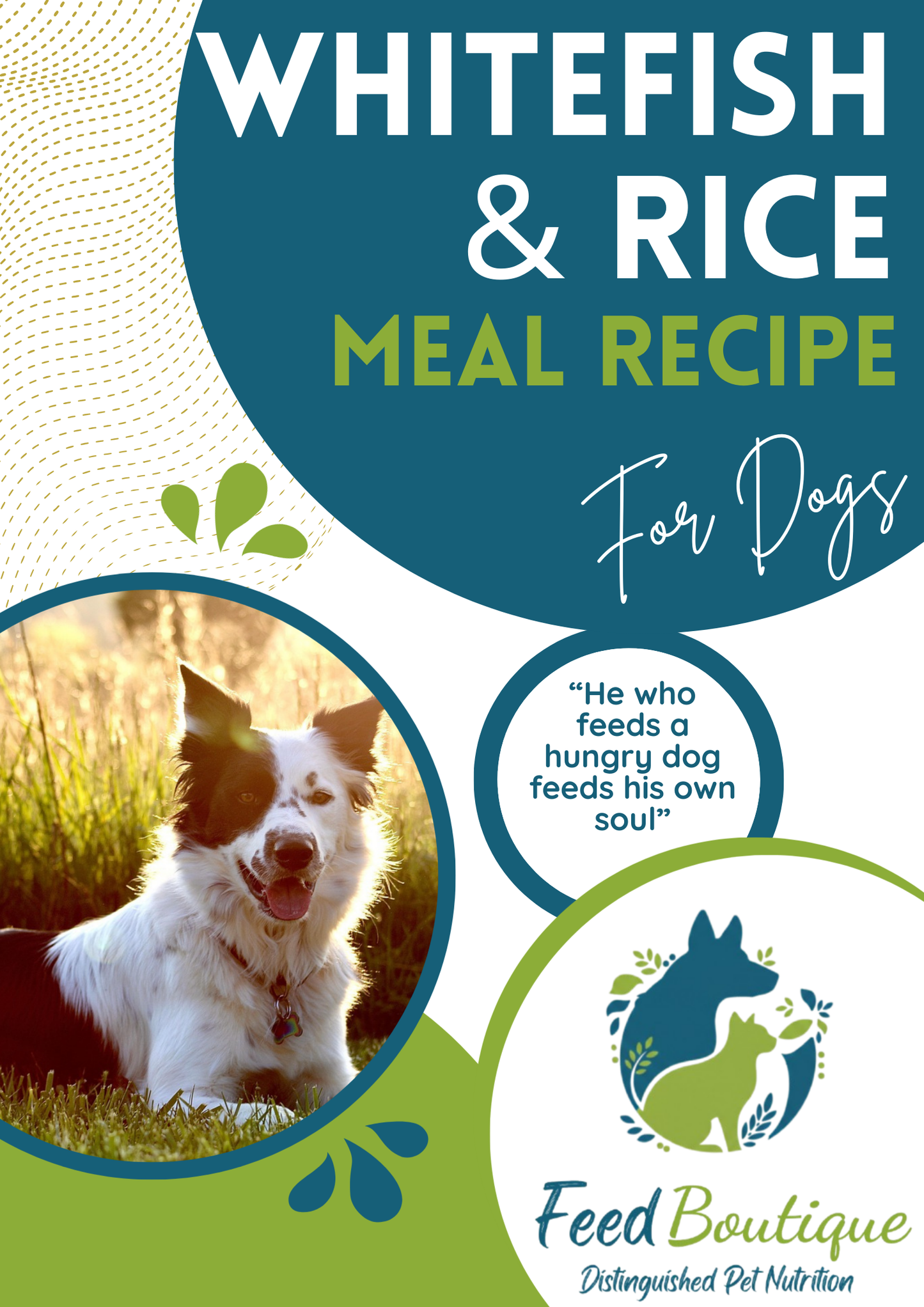 Whitefish and Rice Meal Recipe for Dogs