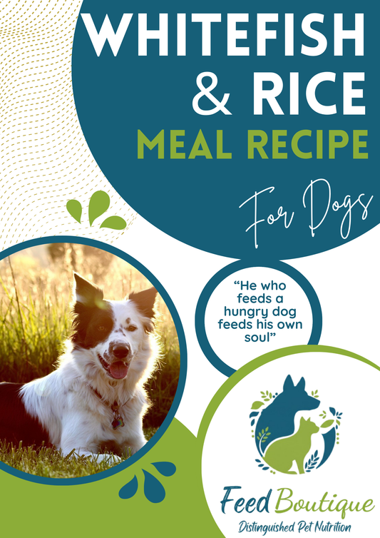 Whitefish and Rice Meal Recipe for Dogs