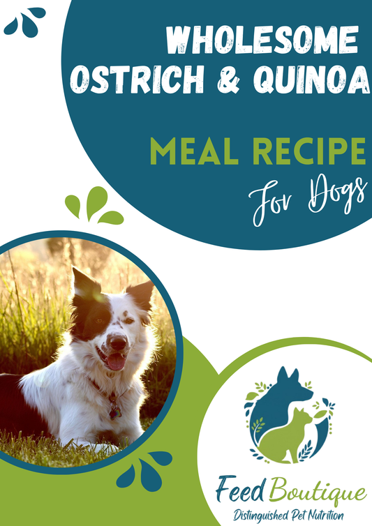 Wholesome Ostrich and Quinoa Meal Recipe for Dogs