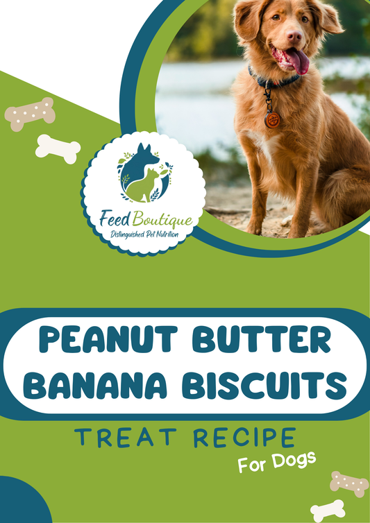 Peanut butter banana biscuits recipe for dogs