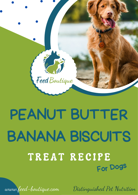 Peanut butter banana biscuits recipe for dogs