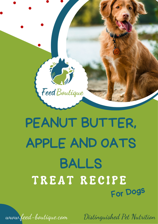 Peanut butter, apple and oats balls recipe for dogs