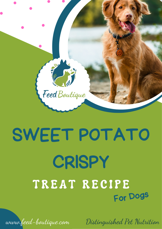 Sweet Potato crispy treat recipe for dogs