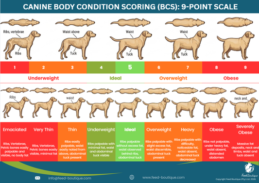 Canine Body Condition Score Chart