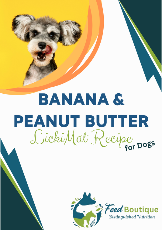 Banana and Peanut Butter LickiMat Recipe for Dogs