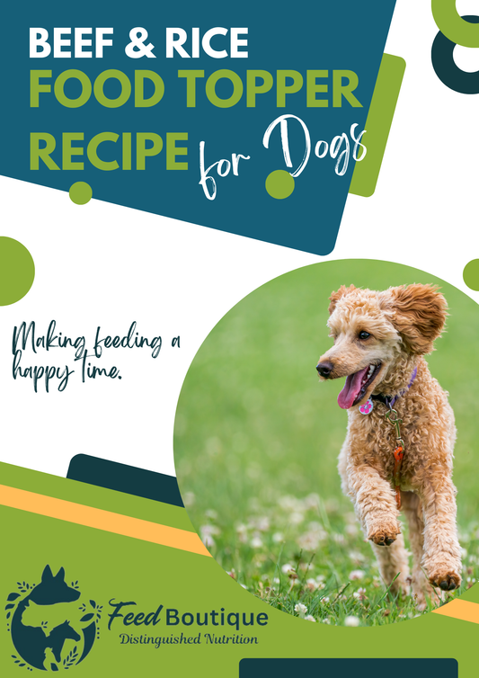 Beef and Rice Food Topper Recipe for Dogs