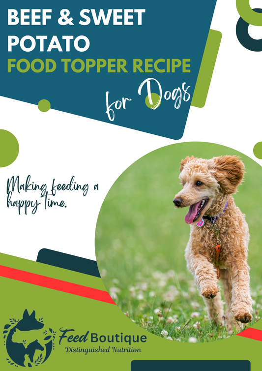 Beef and Sweet Potato Food Topper Recipe for Dogs