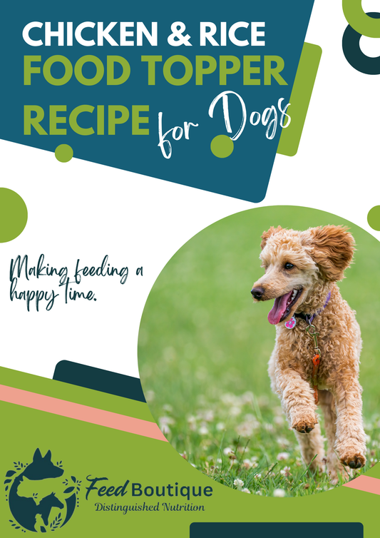 Chicken and Rice Food Topper Recipe for Dogs