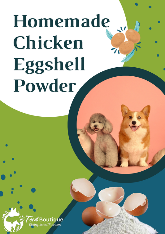 Homemade Chicken Eggshell Powder Recipe